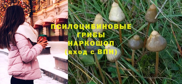 бошки Арсеньев