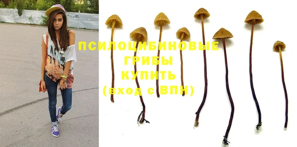 спиды Армянск